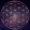History of Sacred Geometry Course In Classroom