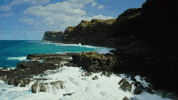 Anyone want to come to Hawai’i 