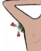 Is Your Deodorant Messing With Your Hormones?