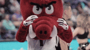 CFB PICKS  Sep 6, 2025