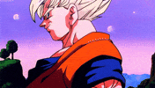 AnimeFit