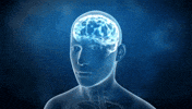 ¿Dolor = Daño? 🧠 Tu cerebro tiene la última palabra.