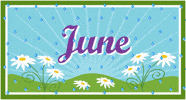 June Social Media Post Graphics