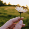 *NEW* FREE GIFT | 30-Day of Comfort | Coping with Death through Hope