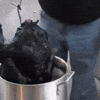 🔥 BBQ Disasters Happen to ALL of Us 