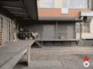 Introduce Yourself in One GIF + One Pain-Point