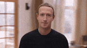 The Facebook Algorithm