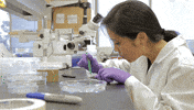 Monthly Peptide Lab Test – Cast Your Vote