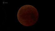 Eclipse season is upon us! 