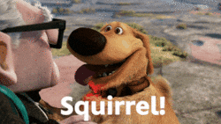 image gifanimation GIF by Disney Pixar