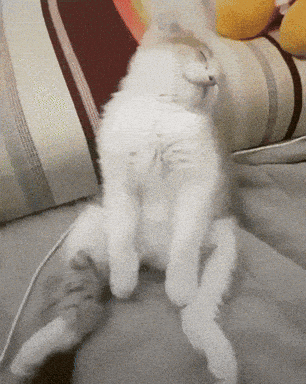 image gifTired Mood GIF by JustViral