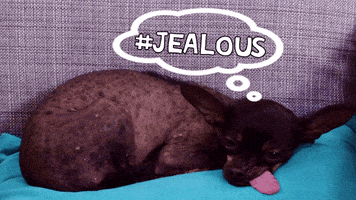 grace and mamrie GIF by This Might Get