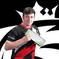 E E-Sport GIF by Austrian Force eSports