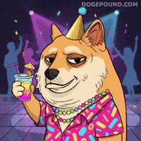 Shiba Inu Drinking GIF by Doge Pound