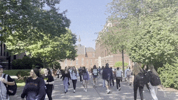 College Du GIF by Duquesne University
