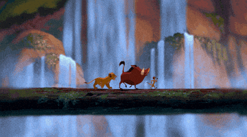 The Lion King Simba GIF by Disney