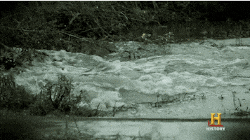 history channel no GIF by Endemol Beyond