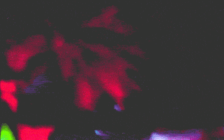 glitch gif art GIF by unmaru