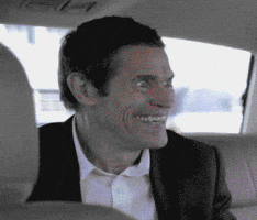 What The Hell Wtf GIF
