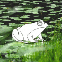Lily Pads Summer GIF by ErlebnisMalerei