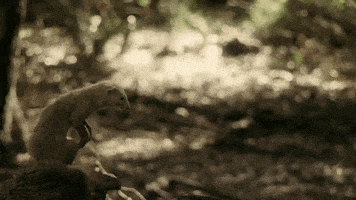 GIF by Drunk History