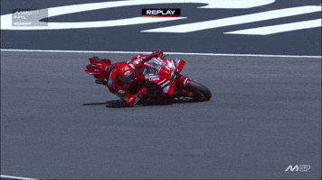 Racing Motorcycle GIF by MotoGP™
