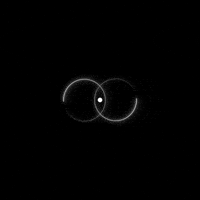 Digital Art GIF by A. L. Crego