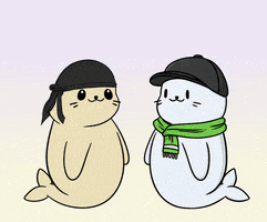 Big Eyes Fun GIF by Sappy Seals Community