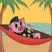 Miami Beach GIF by Piggyverse