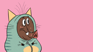 Cat What GIF by ZIP ZIP