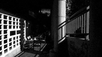 black and white loop GIF by A. L. Crego