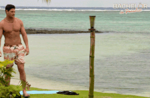 GIF by BachelorInParadiseAU