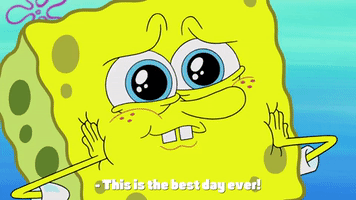 season 9 episode 24 GIF by SpongeBob SquarePants