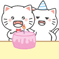 Cat Love GIF by KIKI