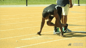 track & field wave GIF by GreenWave
