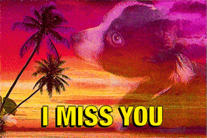 Miss U GIF by Studios 2016