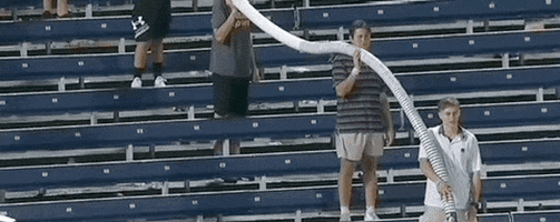 College World Series Baseball GIF by NCAA Championships