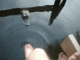 swamp people kick GIF