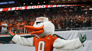 College Football GIF by Miami Hurricanes College Football GIF by Miami Hurricanes