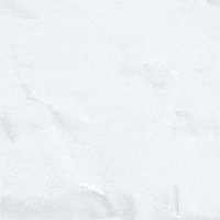 Who Dis Knock Knock GIF by Dietz & Watson