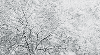 China Snow GIF