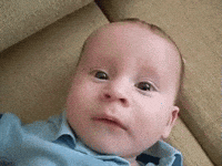 trending gifs