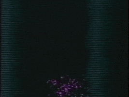 video art GIF by VOID PALACE