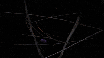 Stop Motion Love GIF by louismor