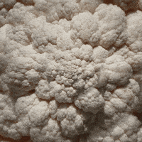 Viral Video Wtf GIF by Feliks Tomasz Konczakowski