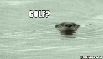 Golf Otter GIF by SB Nation