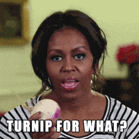 Turnip GIFs - Find & Share on GIPHY