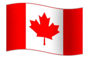 Canadian Flag GIFs - Find & Share on GIPHY