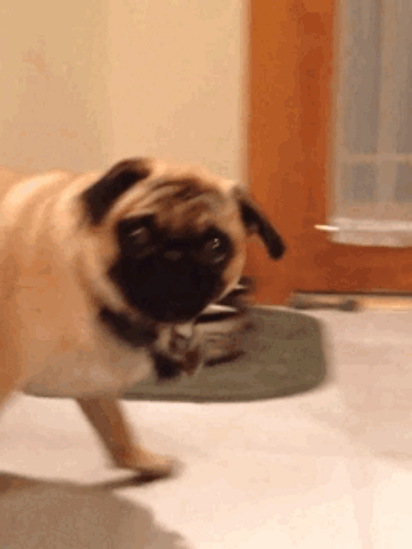 source.gif