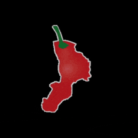 LA CALABRIA NON TORNA INDIETRO